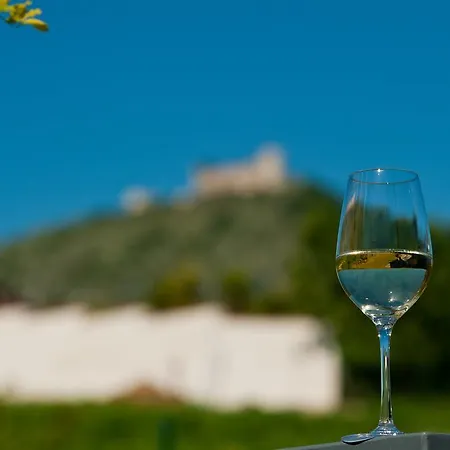 Palava - 4 Apartmán Pavlov